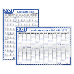 2021 Laminated Year at a Glance Wall Calendar